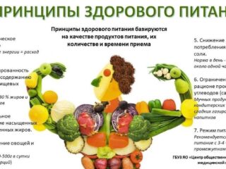 18 – 24 декабря Неделя популяризации здорового питания